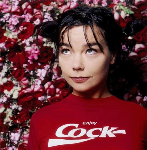 The Influence of Nature on the Audio-Visual Aesthetics of Bjork's 